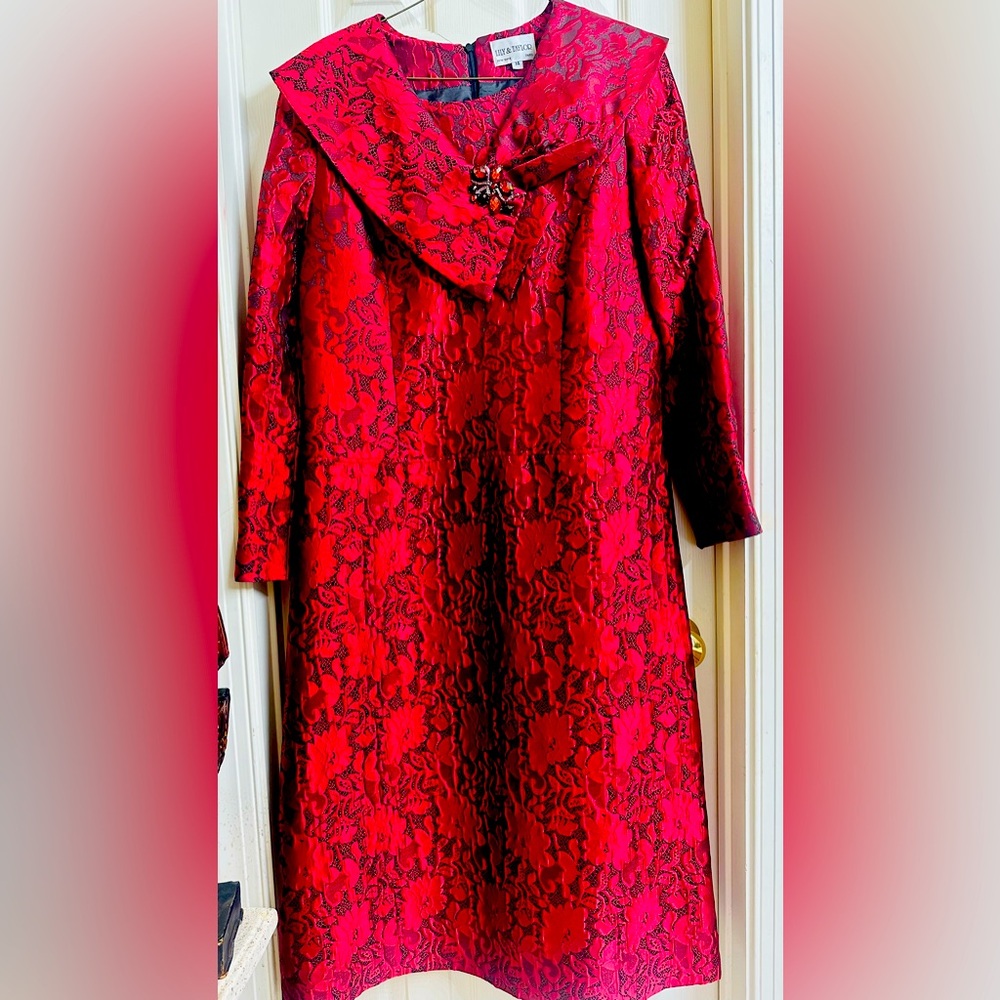 Lily and Taylor Red brocade dress